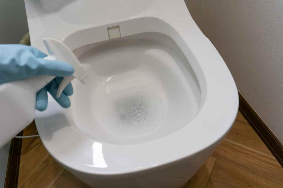 pulizia sanitari panno