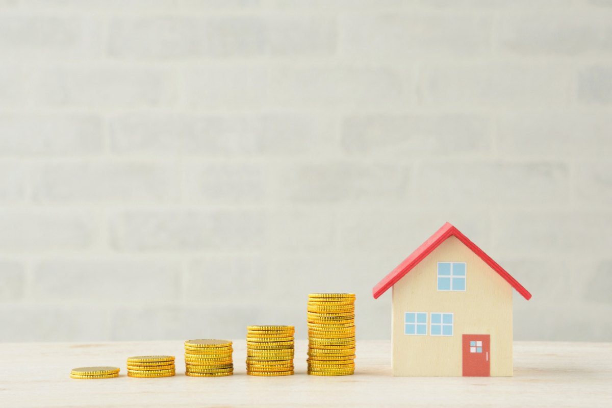 casa in miniatura e monete
